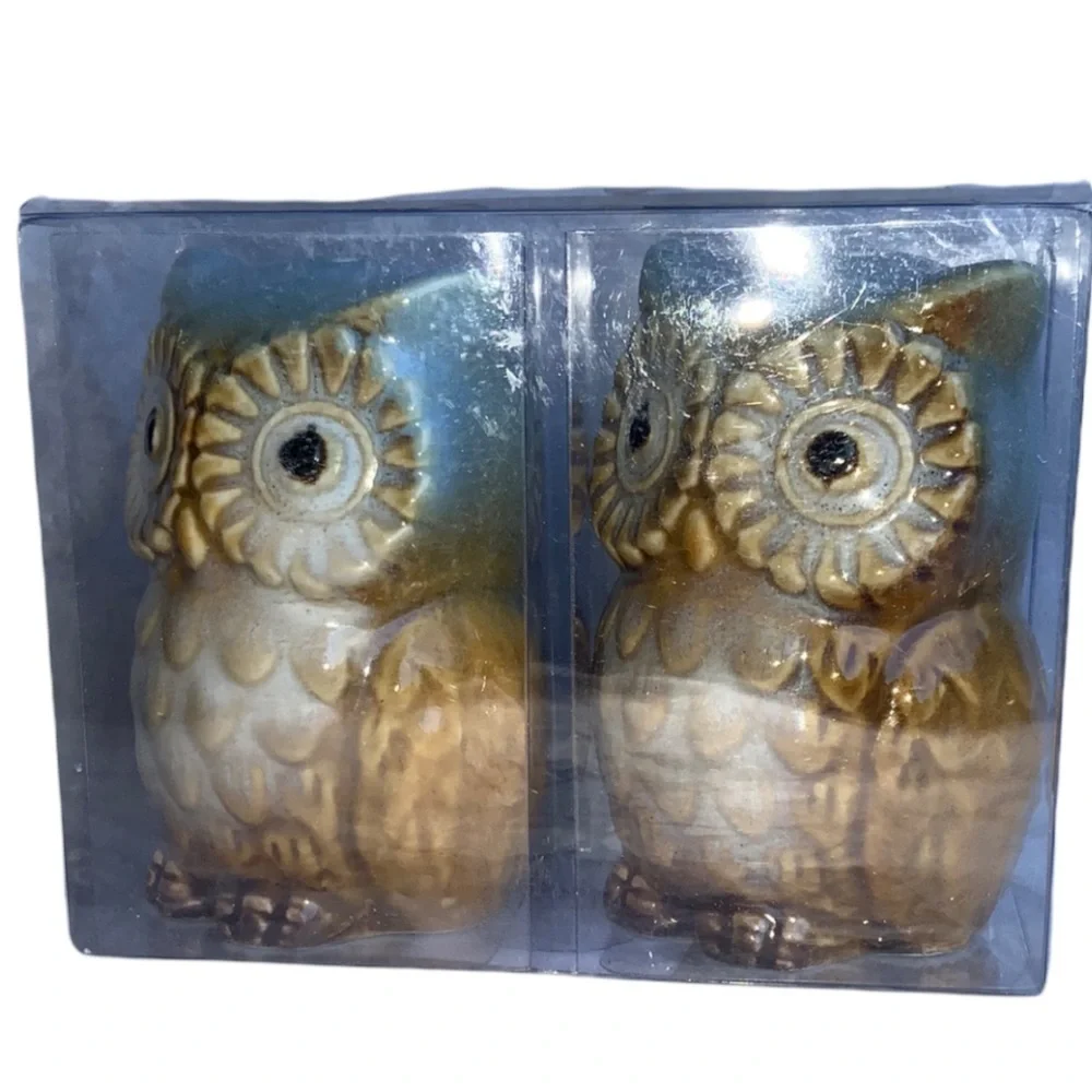 Owl Salt and Pepper Shaker Set Glazed Ceramic Hand Painted Owl Decor 2 Piece Set